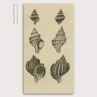 تابلو جانوران دریایی - اسپو دکور