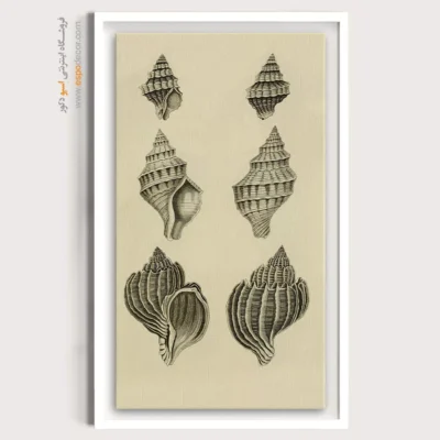 تابلو جانوران دریایی - اسپو دکور