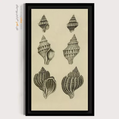 تابلو جانوران دریایی - اسپو دکور