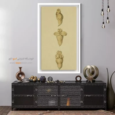 تابلو جانوران دریایی - اسپو دکور