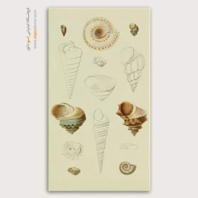 تابلو جانوران دریایی - اسپو دکور