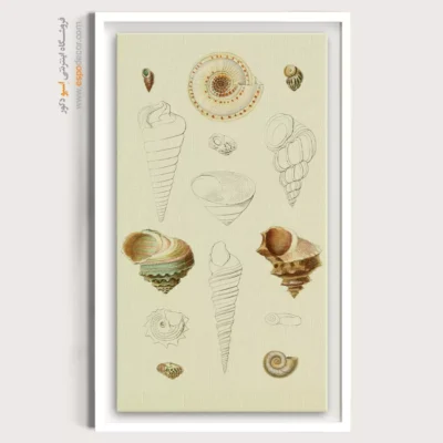 تابلو جانوران دریایی - اسپو دکور