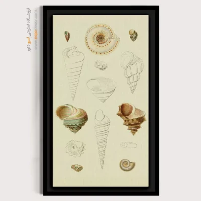 تابلو جانوران دریایی - اسپو دکور