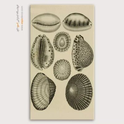 تابلو جانوران دریایی - اسپو دکور