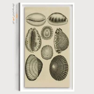 تابلو جانوران دریایی - اسپو دکور