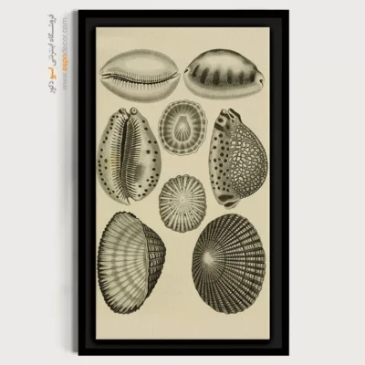 تابلو جانوران دریایی - اسپو دکور