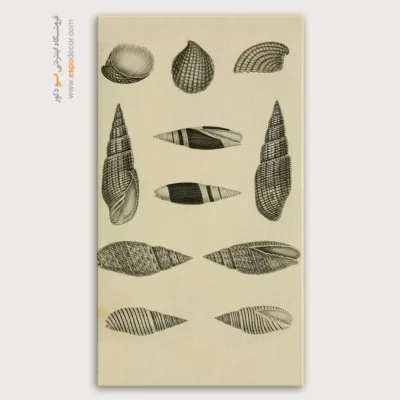 تابلو جانوران دریایی - اسپو دکور