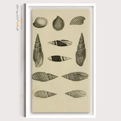 تابلو جانوران دریایی - اسپو دکور