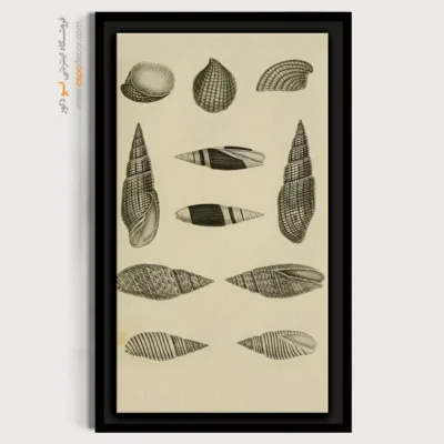 تابلو جانوران دریایی - اسپو دکور