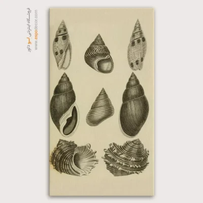 تابلو جانوران دریایی - اسپو دکور