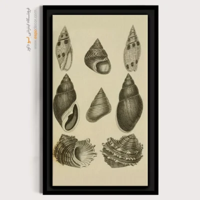 تابلو جانوران دریایی - اسپو دکور