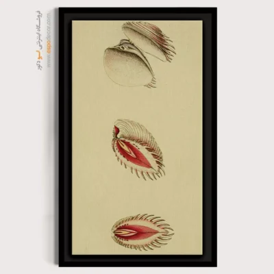 تابلو جانوران دریایی - اسپو دکور