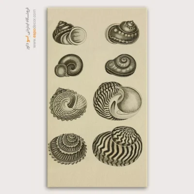 تابلو جانوران دریایی - اسپو دکور