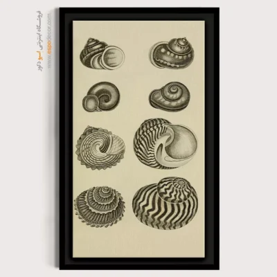 تابلو جانوران دریایی - اسپو دکور