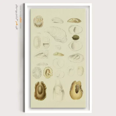 تابلو جانوران دریایی - اسپو دکور