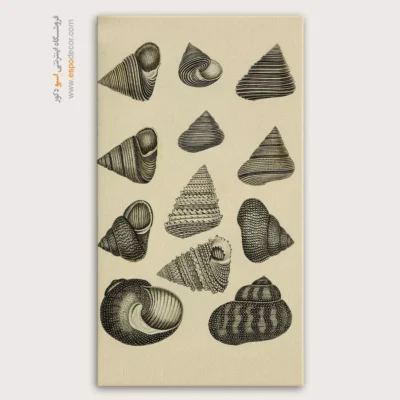 تابلو جانوران دریایی - اسپو دکور