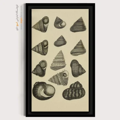 تابلو جانوران دریایی - اسپو دکور