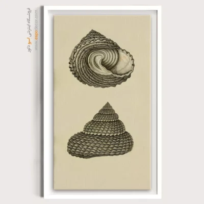 تابلو جانوران دریایی - اسپو دکور