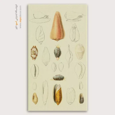 تابلو جانوران دریایی - اسپو دکور