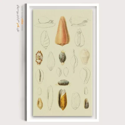 تابلو جانوران دریایی - اسپو دکور