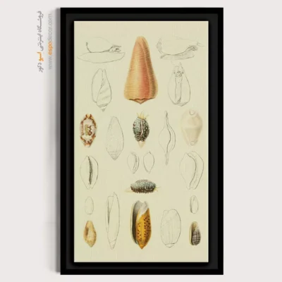 تابلو جانوران دریایی - اسپو دکور