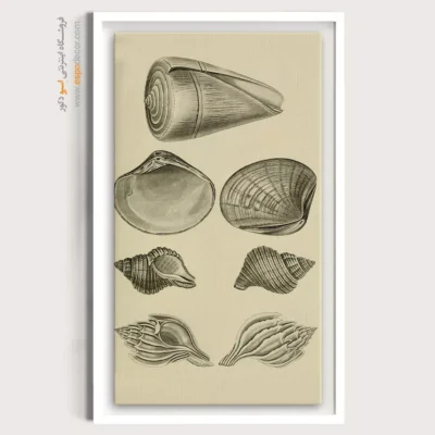 تابلو جانوران دریایی - اسپو دکور