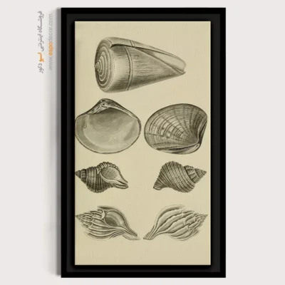 تابلو جانوران دریایی - اسپو دکور