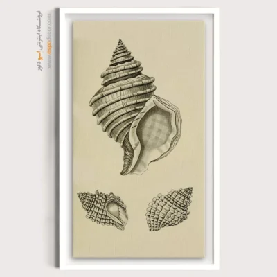 تابلو جانوران دریایی - اسپو دکور