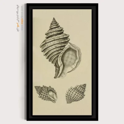 تابلو جانوران دریایی - اسپو دکور