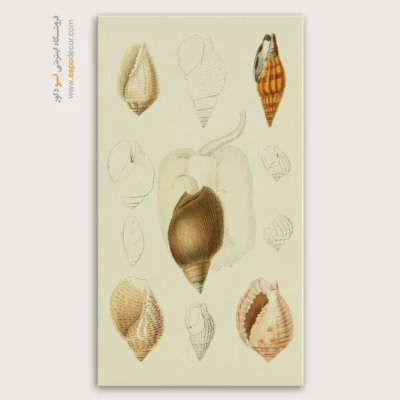 تابلو جانوران دریایی - اسپو دکور