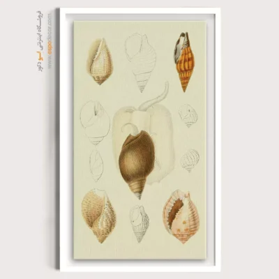 تابلو جانوران دریایی - اسپو دکور