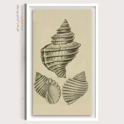 تابلو جانوران دریایی - اسپو دکور