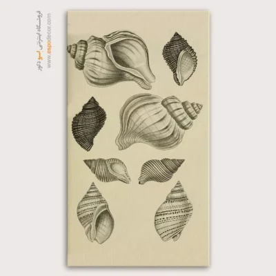 تابلو جانوران دریایی - اسپو دکور