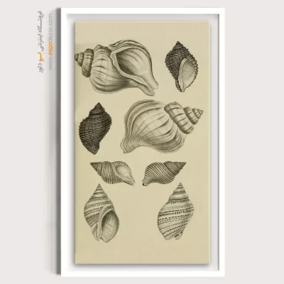 تابلو جانوران دریایی - اسپو دکور