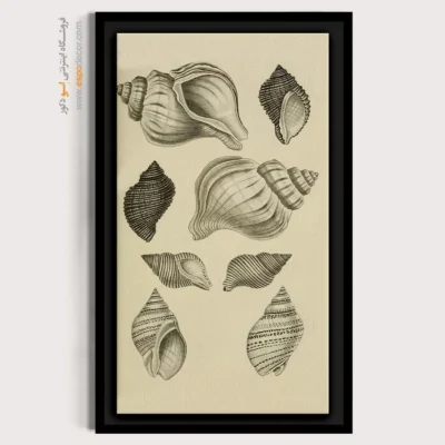 تابلو جانوران دریایی - اسپو دکور