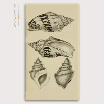 تابلو جانوران دریایی - اسپو دکور