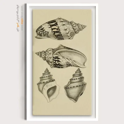 تابلو جانوران دریایی - اسپو دکور