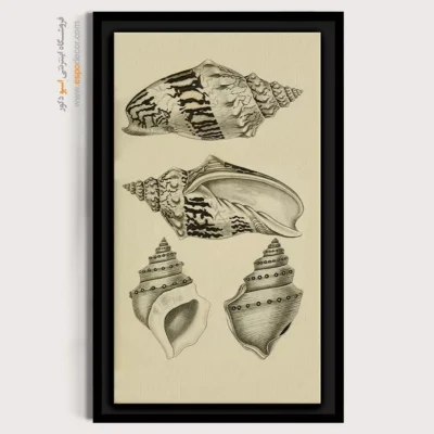 تابلو جانوران دریایی - اسپو دکور