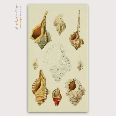 تابلو جانوران دریایی - اسپو دکور