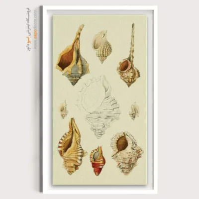 تابلو جانوران دریایی - اسپو دکور