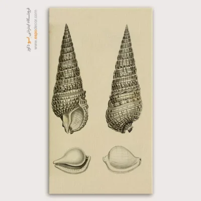 تابلو جانوران دریایی - اسپو دکور