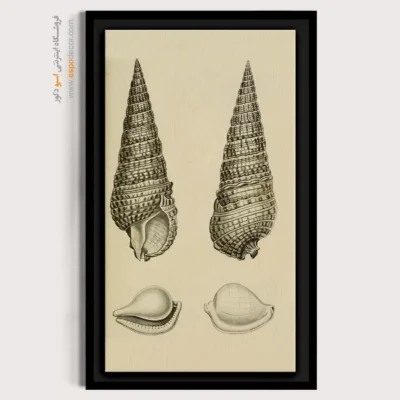 تابلو جانوران دریایی - اسپو دکور