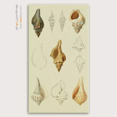 تابلو جانوران دریایی - اسپو دکور