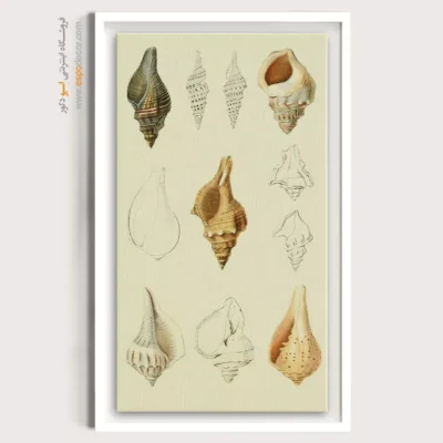 تابلو جانوران دریایی - اسپو دکور