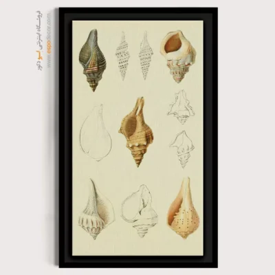 تابلو جانوران دریایی - اسپو دکور