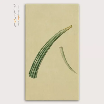 تابلو جانوران دریایی - اسپو دکور