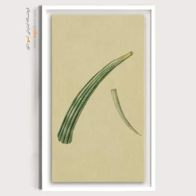 تابلو جانوران دریایی - اسپو دکور