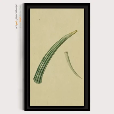 تابلو جانوران دریایی - اسپو دکور