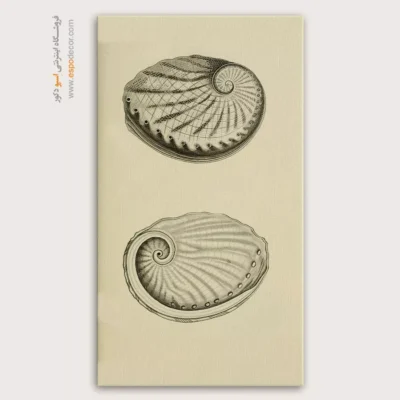 تابلو جانوران دریایی - اسپو دکور