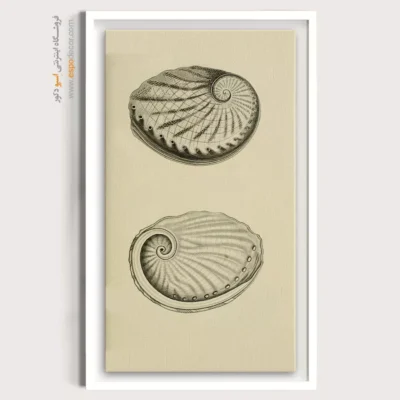 تابلو جانوران دریایی - اسپو دکور